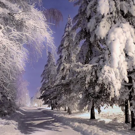 Hotel Hermica Tampere