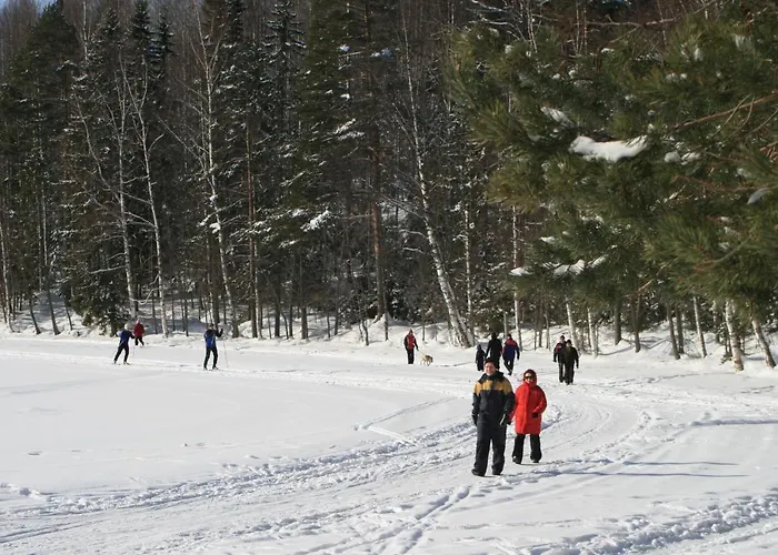 Hermica 3* Tammerfors