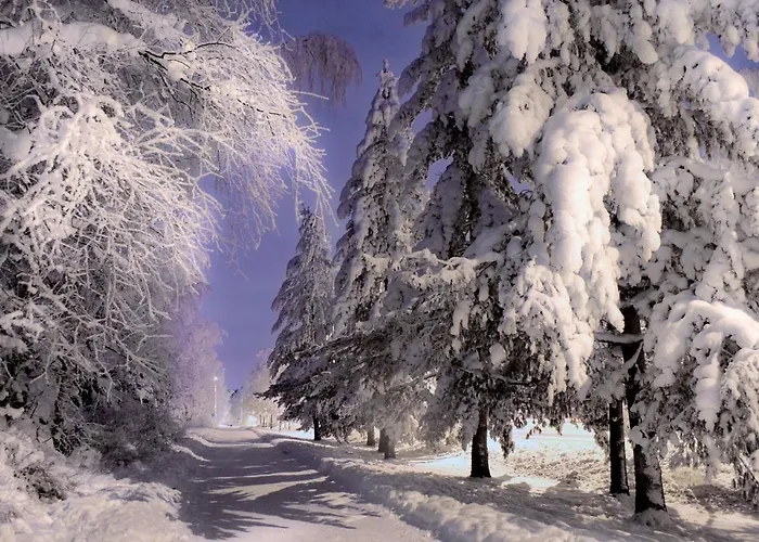 Hotell Hermica Tammerfors